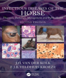 Ebook Infectious diseases of the horse, diagnosis, pathology, management, and public health (2/E): Part 2