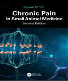Ebook Chronic pain in small animal medicine (2/E): Part 2