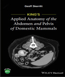 Ebook King's applied anatomy of the abdomen and pelvis of domestic mammals: Part 2