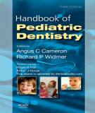Ebook Handbook of pediatric dentistry (3/E): Part 2