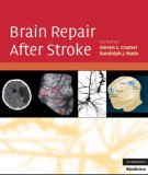 Ebook Brain repair after stroke: Part 2