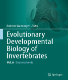 Ebook Evolutionary developmental biology of invertebrates - Volume 6: Deuterostomia