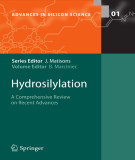 Ebook Hydrosilylation: A comprehensive review on recent advances (Advances in silicon science, Volume 01)