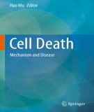Ebook Cell death: Mechanism and disease