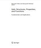 Ebook Gels: Structures, properties, and functions - Fundamentals and applications