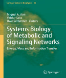 Ebook Systems biology of metabolic and signaling networks: Energy, mass and information transfer