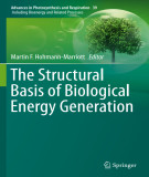 Ebook The structural basis of biological energy generation (Advances in photosynthesis and respiration, Volume 39)