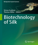 Ebook Biotechnology of silk (Biologically-inspired systems, Volume 5)