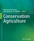 Ebook Conservation agriculture