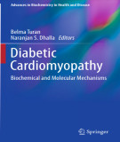 Ebook Diabetic cardiomyopathy: Biochemical and molecular mechanisms