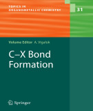 Ebook C–X bond formation (Topics in organometallic chemistry, Volume 31)