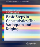 Ebook Basic steps in geostatistics: The variogram and kriging