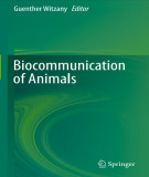 Ebook Biocommunication of animals