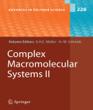 Ebook Complex macromolecular systems II (Advances in polymer science, Volume 228)
