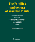 Ebook The families and genera of vascular plants - Volume XIII: Flowering plants, monocots (Poaceae)