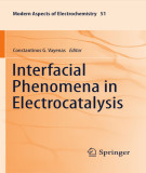 Ebook Interfacial phenomena in electrocatalysis (Modern aspects of electrochemistry, No. 51)