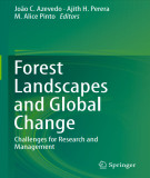 Ebook Forest landscapes and global change: Challenges for research and management