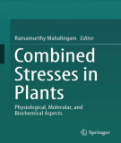 Ebook Combined stresses in plants: Physiological, molecular, and biochemical aspects