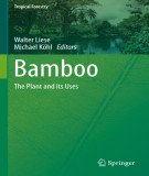 Ebook Bamboo: The plant and its uses