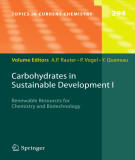 Ebook Carbohydrates in sustainable development I: Renewable resources for chemistry and biotechnology (Topics in current chemistry, Volume 294)
