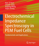 Ebook Electrochemical impedance spectroscopy in PEM fuel cells: Fundamentals and applications