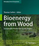 Ebook Bioenergy from wood: Sustainable production in the tropics (Managing forest ecosystems, Volume 26)