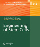 Ebook Engineering of stem cells (Advances in biochemical engineering/biotechnology, Volume 114)