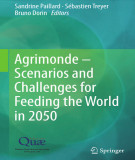 Ebook Agrimonde – Scenarios and challenges for feeding the World in 2050