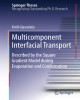 Ebook Multicomponent interfacial transport: Described by the square gradient model during evaporation and condensation