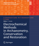 Ebook Electrochemical methods in archaeometry, conservation and restoration