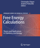 Ebook Free energy calculations: Theory and applications in chemistry and biology