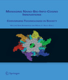 Ebook Managing nano-bio-info-cogno innovations: Converging technologies in society