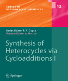 Ebook Synthesis of heterocycles via cycloadditions I