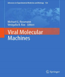 Ebook Viral molecular machines
