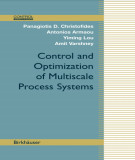 Ebook Control and optimization of multiscale process systems