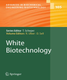 Ebook White biotechnology (Advances in biochemical engineering/biotechnology, Volume 105)