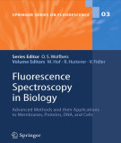 Ebook Fluorescence spectroscopy in biology: Advanced methods and their applications to membranes, proteins, dna, and cells