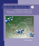 Ebook Solvation effects on molecules and biomolecules: Computational methods and applications