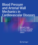 Ebook Blood pressure and arterial wall mechanics in cardiovascular diseases