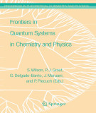 Ebook Frontiers in quantum systems in chemistry and physics