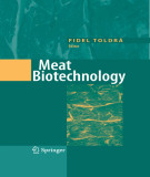 Ebook Meat biotechnology