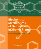 Ebook Biochemical mechanisms of detoxification in higher plants: Basis of phytoremediation
