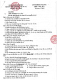 Đề thi học kì 1 môn Tin học lớp 6 năm 2023-2024 - Trường THCS Đô Thị Việt Hưng, Long Biên