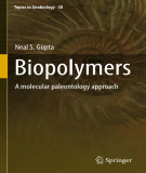 Ebook Biopolymers: A molecular paleontology approach