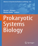 Ebook Prokaryotic systems biology (Advances in experimental medicine and biology, Volume 883)