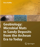 Ebook Geobiology: Microbial mats in sandy deposits from the Archean era to today