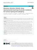 Mutation-Attention (MuAt): Deep representation learning of somatic mutations for tumour typing and subtyping