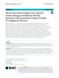 Novel functional insights into ischemic stroke biology provided by the first genome-wide association study of stroke in indigenous Africans