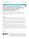 Cancer origin tracing and timing in two high-risk prostate cancers using multisample whole genome analysis: Prospects for personalized medicine