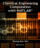Ebook Chemical engineering computation with matlab®: Part 1